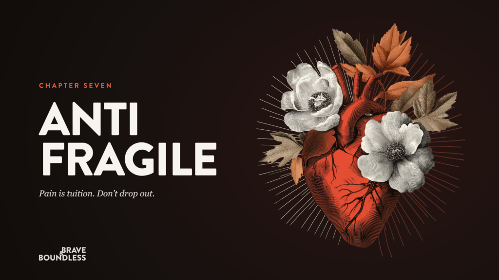 Anti-Fragile preview
